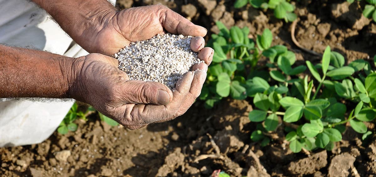 Kgolaentle Holdings operations